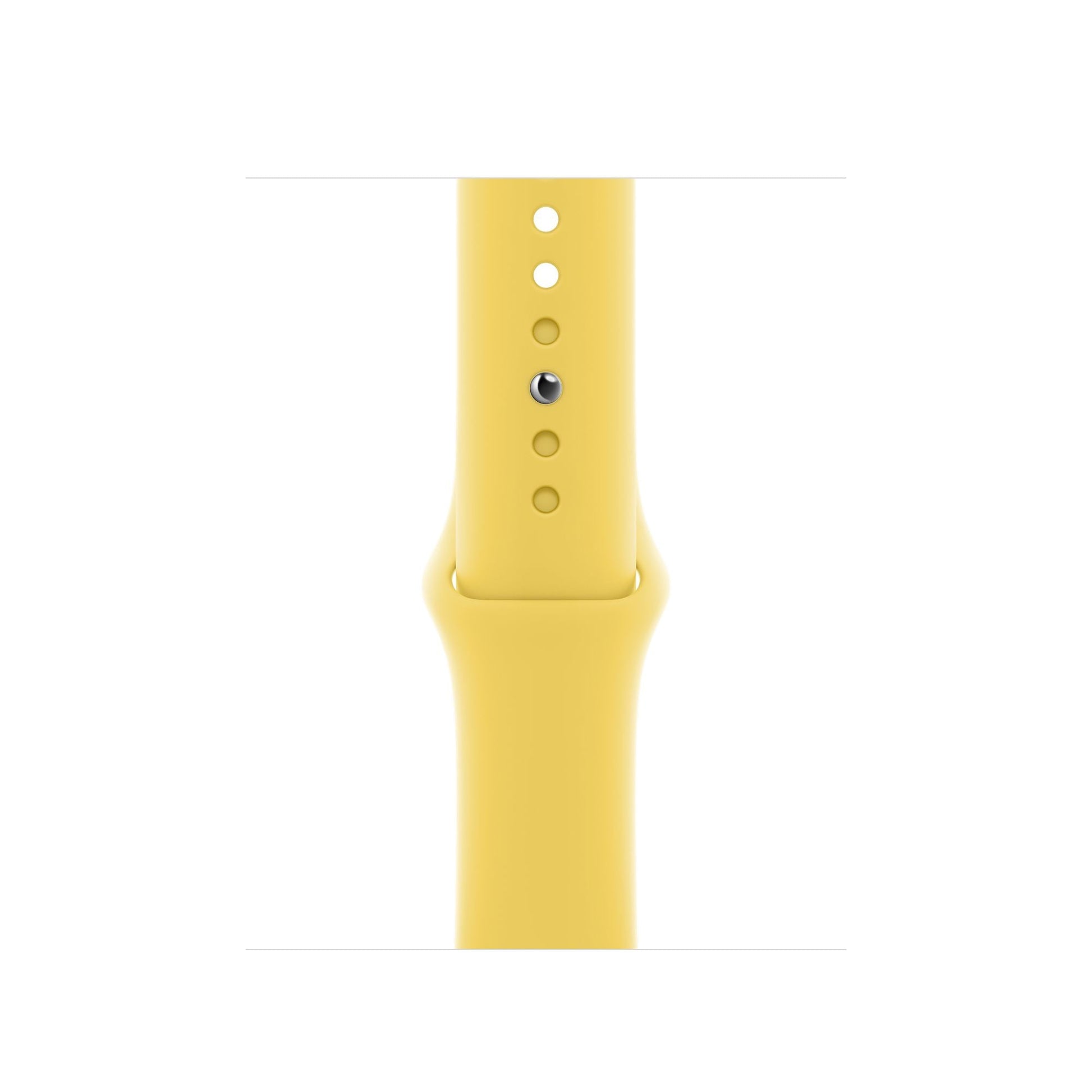 Apple Ginger Sport Band – Regular