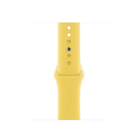 Apple Ginger Sport Band – Regular
