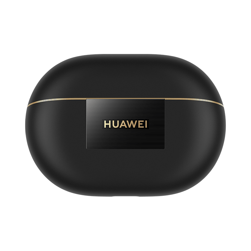 Black charging case front view with gold trim and logo panel
