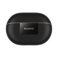Black charging case front view with gold trim and logo panel