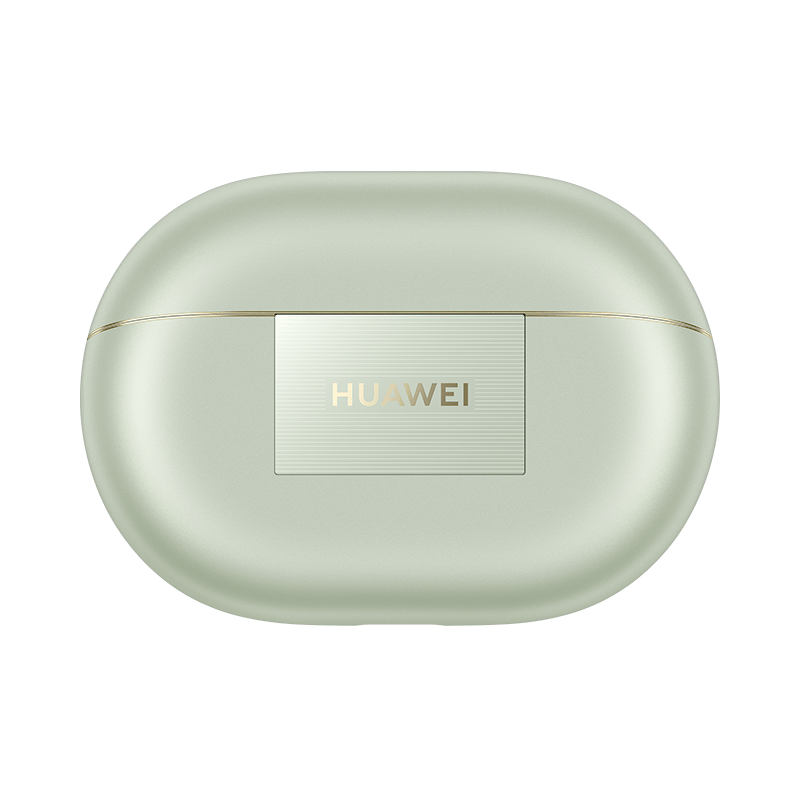 Green charging case front view with logo panel and gold edge trim