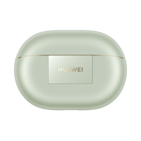 Green charging case front view with logo panel and gold edge trim