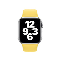 Apple Ginger Sport Band – Regular