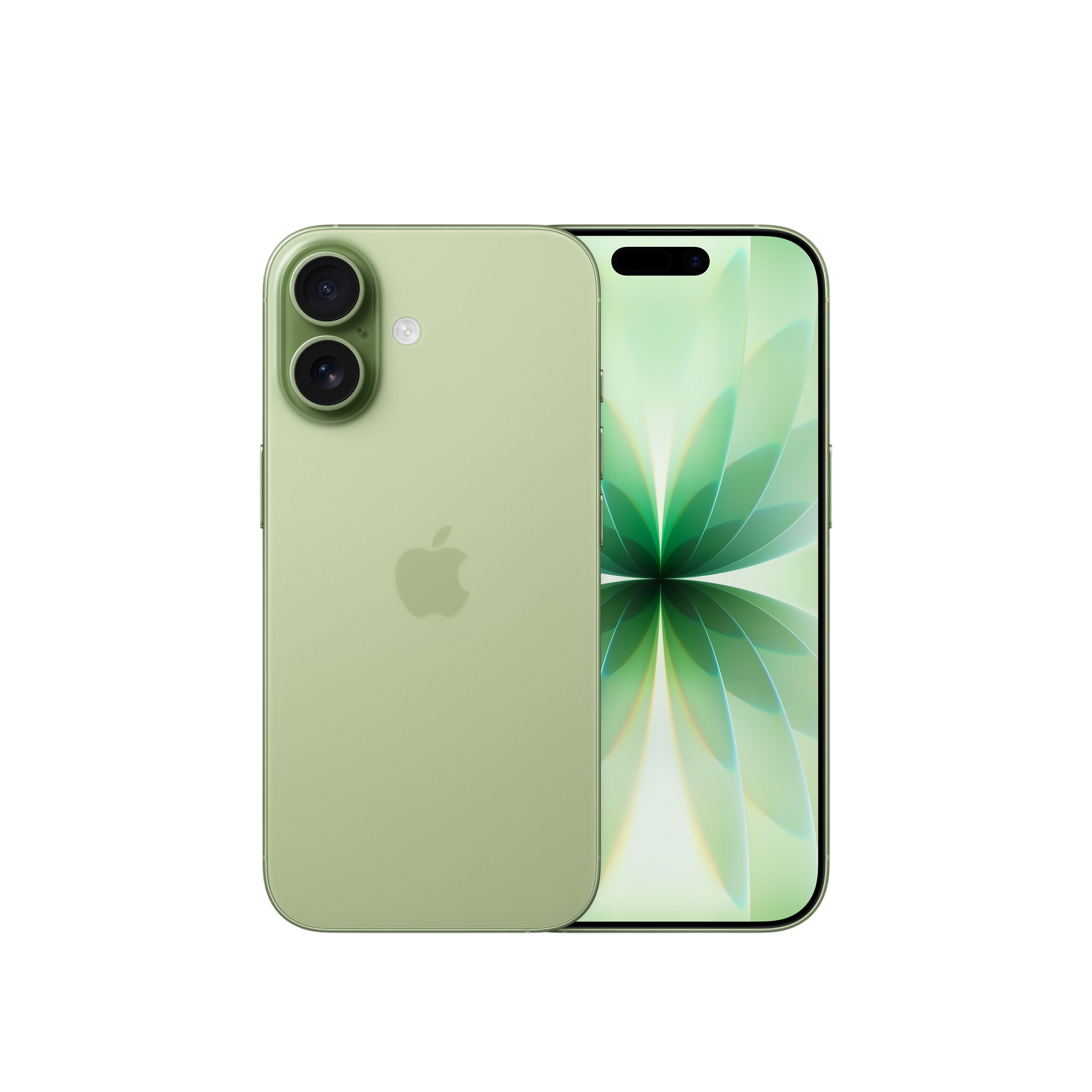 iPhone 17 (Officially Registered - 2 eSim + FaceTime)