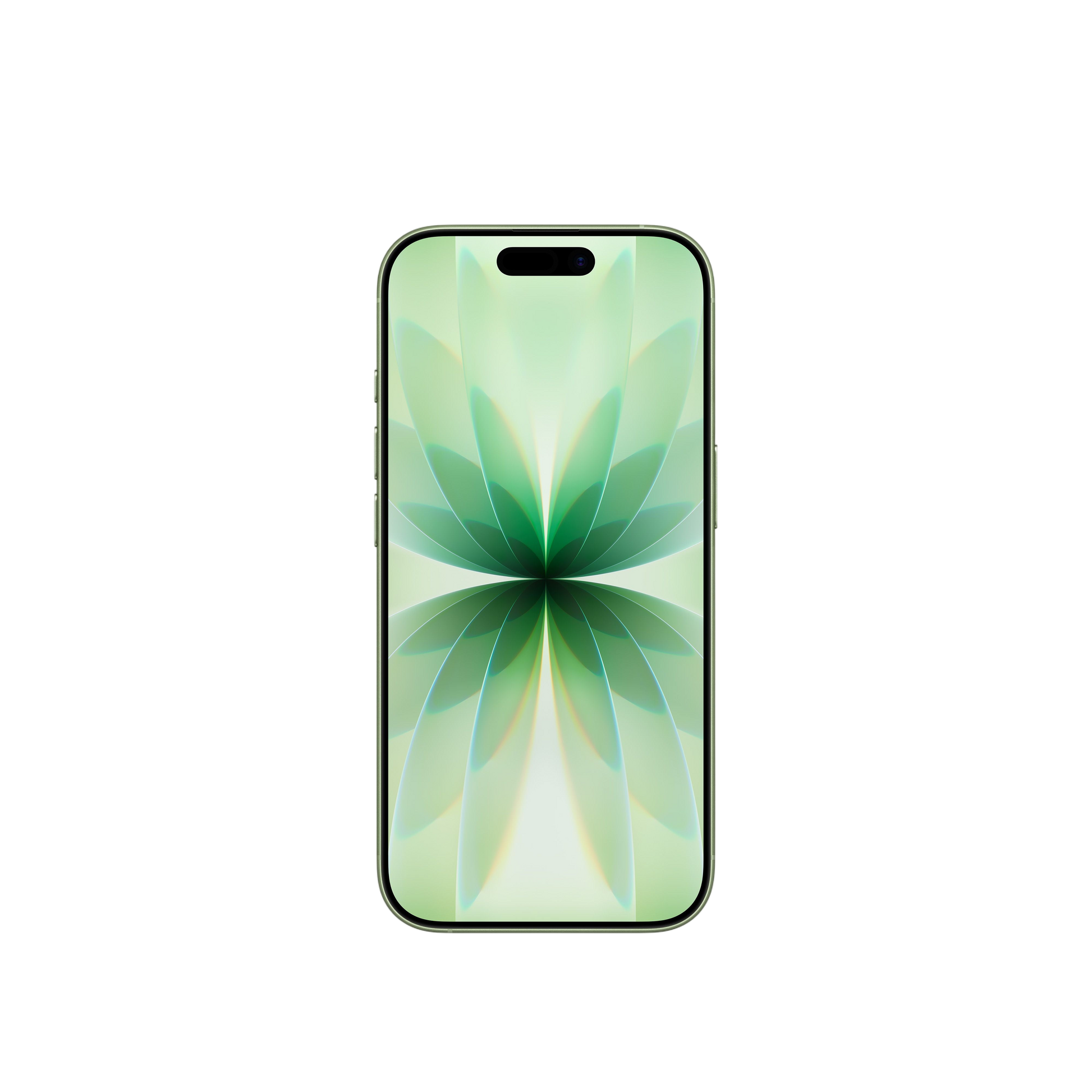 iPhone 17 (Officially Registered - 2 eSim + FaceTime)