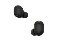 Sony WF-1000XM6 Wireless Noise Cancelling Earbuds