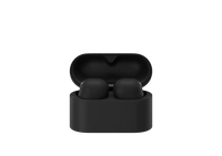 Sony WF-1000XM6 Wireless Noise Cancelling Earbuds