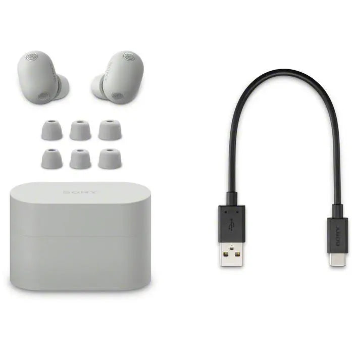 Sony WF-1000XM6 Wireless Noise Cancelling Earbuds