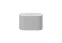 Sony WF-1000XM6 Wireless Noise Cancelling Earbuds