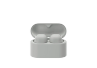 Sony WF-1000XM6 Wireless Noise Cancelling Earbuds
